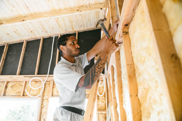 Best Attic Insulation Installation  in Quincy, IL