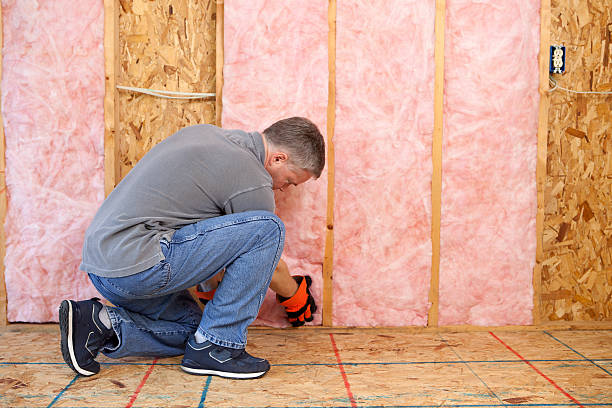 Best Garage Insulation  in Quincy, IL