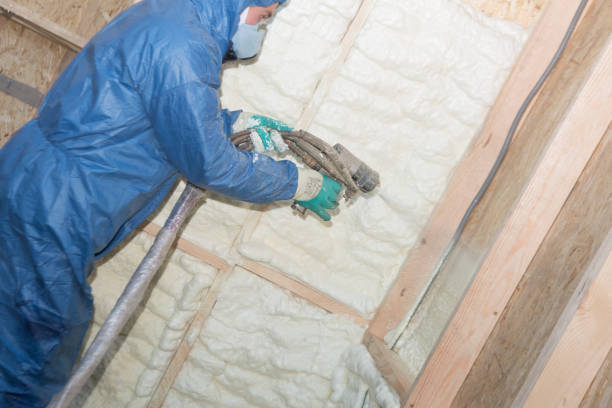 Best Commercial Insulation Services  in Quincy, IL